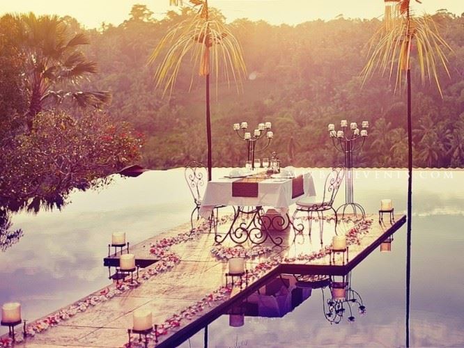 Romantic dinner in the jungle 