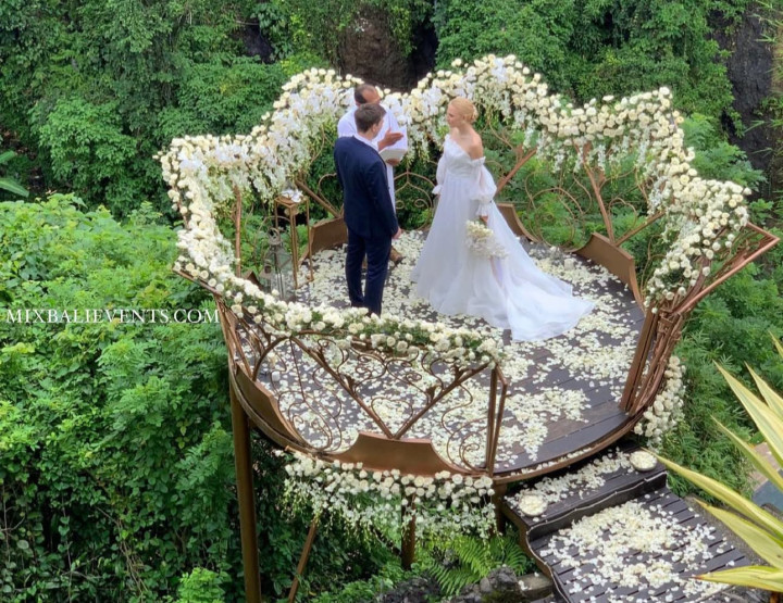 Lotus over the Tropical Jungle of Bali