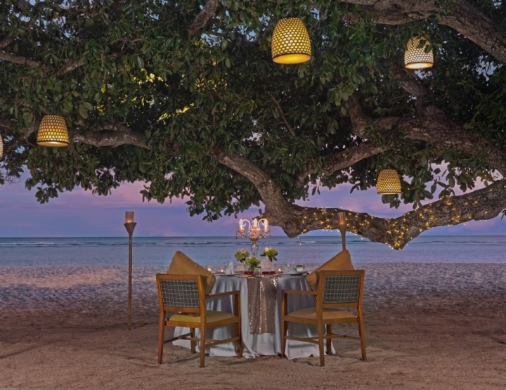 Romantic dinner on the beach under a picturesque tree